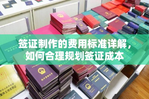 五寨签证制作的费用标准详解，如何合理规划签证成本